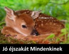 Jó éjt Mindenkinek