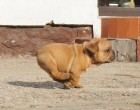 Ezen behaltam :)