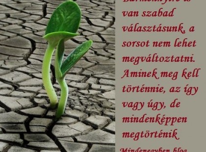 Bármennyire is van szabad választásunk, a sorsot nem lehet megváltoztatni