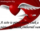 A szív páros szerv - csak a párja egy másik embernél van.