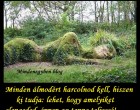 Minden álmodért harcolnod kell