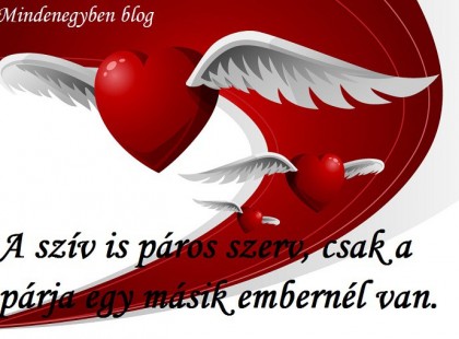 A szív páros szerv - csak a párja egy másik embernél van.