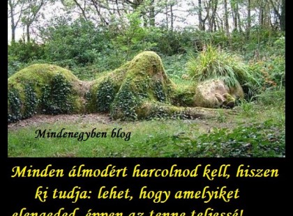 Minden álmodért harcolnod kell