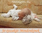 jó éjszakát mindenkinek