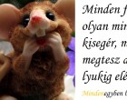 Minden férfi olyan mint egy kisegér