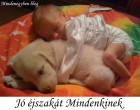 jó éjszakát mindenkinek