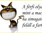A férfi olyan mint a macska, ha simogatod feláll a farka ... .
