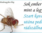 Sok ember olyan mint a legyek...