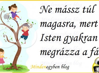 ne mássz túl magasra, mert Isten gyakran megrázza a fát,