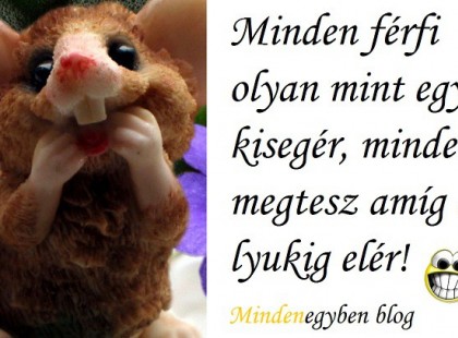 Minden férfi olyan mint egy kisegér