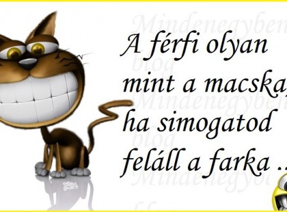 A férfi olyan mint a macska, ha simogatod feláll a farka ... .