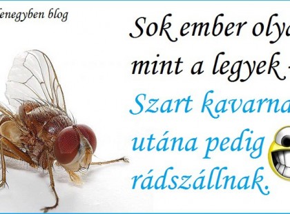Sok ember olyan mint a legyek...