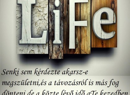 Senki sem kérdezte akarsz-e megszületni,és a távozásról is más fog dönteni,de a közte lévő idő a Te kezedben van,ne hagyd veszendőbe menni!