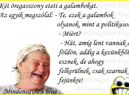 Két öregasszony eteti a galambokat. Az egyik megszólal..