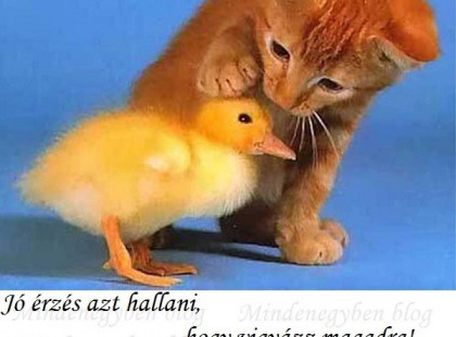 Jó érzés azt hallani, hogy vigyázz magadra! De még jobb ezt hallani: itt vagyok, hogy vigyázzak rád!