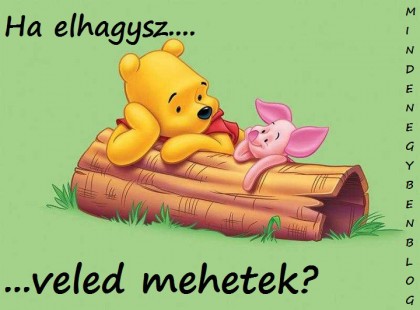 Ha elhagysz, veled mehetek?