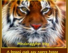 A bosszú csak egy napra hozza el az örömet, a türelem mindörökre elhozza a dicsőséget.