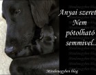 Anyai szeretet - Nem pótolható semmivel...