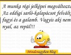 A munka régi jelképei megváltoztak. Az eddigi sarló-kalapácsot felváltja a fagyi és a galamb. Vagyis aki nem nyal, az repül...:)