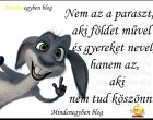 Nem az a paraszt, aki földet művel .....