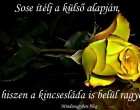 Sose ítélj a külső alapján ,hiszen a kincsesláda is belül ragyog