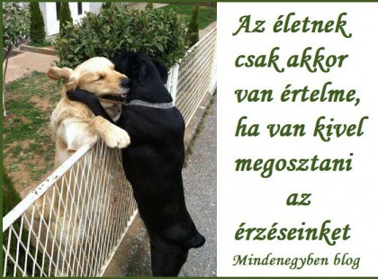 Az életnek csak akkor van értelme, ha van kivel megosztani az érzéseinket.