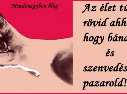Az élet túl rövid ahhoz, hogy bánatra és szenvedésre pazarold!
