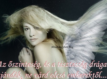 Az őszinteség, és a tisztesség drága ajándék, ne várd olcsó emberektől....
