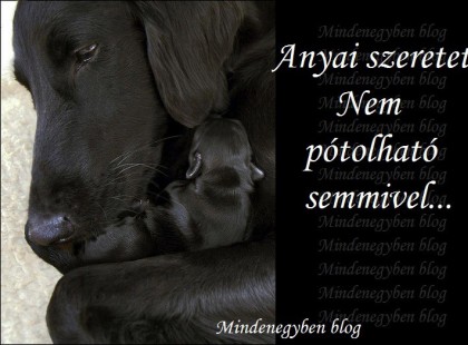 Anyai szeretet - Nem pótolható semmivel...