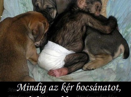 Mindig az kér bocsánatot, akiben több a szeretet