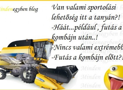 Van valami sportolási lehetőség itt a tanyán?! ....