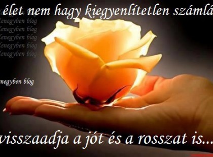 Az élet nem hagy kiegyenlítetlen számlát... visszaadja a jót és a rosszat is...