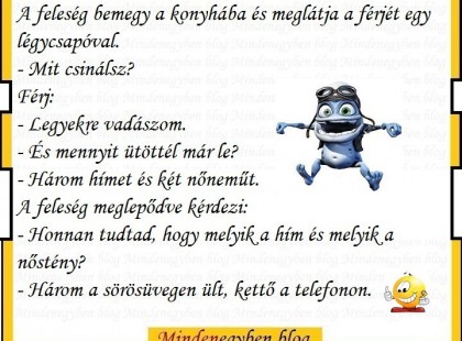 A feleség bemegy a konyhába és meglátja a férjét egy légycsapóval.....