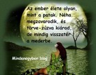 Az ember élete olyan, mint a patak. Néha megzavarodik, és törve-zúzva kiárad, de mindig visszatér a mederbe.