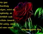 Az igaz barátság olyan, mint az egészség, az értékét csak ritkán ismerik fel addig, amíg el nem veszik.