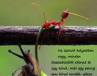 Ha szorult helyzetben vagy, minden összeesküdött ellened és úgy tűnik, már egy percig sem bírod tovább, akkor tarts ki, akkor ne add fel, mert ez az a pillanat, amikor megfordul az ár.