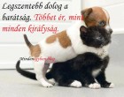 Legszentebb dolog a barátság. Többet ér, mint minden királyság.