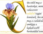 Becsüld meg a barátokat, mintha választott családod tagjai lennének. Becsüld meg a családodat, amiképp a legkedvesebb barátaiddal tennéd.