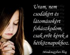 Uram, nem csodákért és látomásokért fohászkodom, csak erőt kérek a hétköznapokhoz.