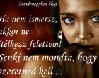 Ha nem ismersz, akkor ne ítélkezz felettem! Senki nem mondta, hogy szeretned kell..