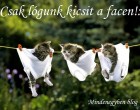 csak lógunk kicsit a facen