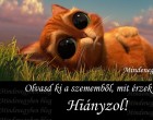 Olvasd ki a szememből, mit érzek!...Hiányzol!