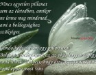 Nincs egyetlen pillanat sem az életedben, amikor ne lenne meg mindened, ami a boldogsághoz szükséges. Gondolkodj el ezen egy pillanatra!