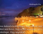 Sose halaszd el a lehetőséget, Hogy elmond, amit érzel, Mert nem biztos, Hogy az élet megteremti újra a lehetőséget, Hogy megtehesd!