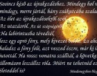 Sosincs késő az újrakezdéshez.....