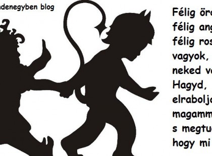 Félig ördög félig angyal, félig rossz vagyok, de neked való Hagyd, hogy elraboljalak magammal, s megtudod, hogy mi a jó