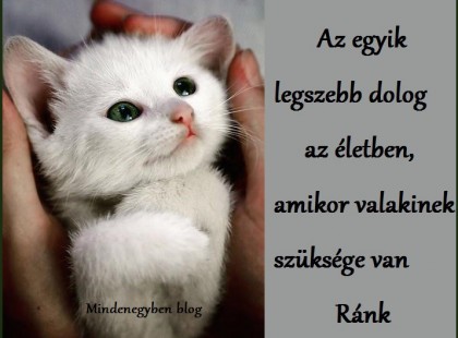 Az egyik legszebb dolog az életben, amikor valakinek szüksége van Ránk