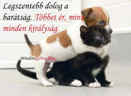 Legszentebb dolog a barátság. Többet ér, mint minden királyság.