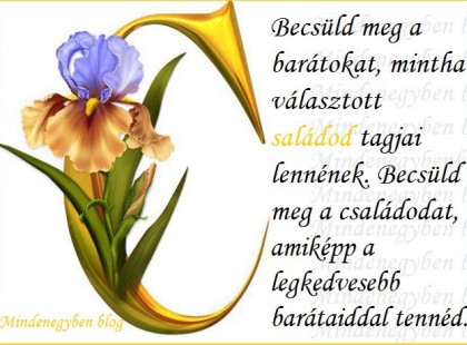 Becsüld meg a barátokat, mintha választott családod tagjai lennének. Becsüld meg a családodat, amiképp a legkedvesebb barátaiddal tennéd.