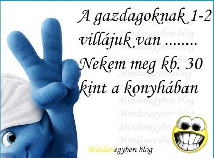 A gazdagoknak 1-2 villájuk van ........ Nekem meg kb. 30 kint a konyhában